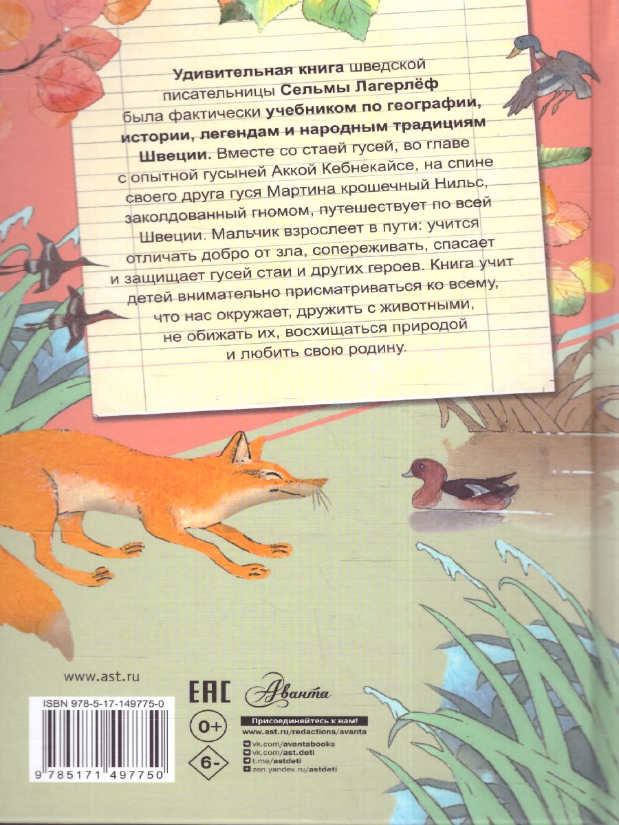 Обложка Чудесное путешествие Нильса с дикими гусями /СамЛучРассказы, издательство АСТ | купить в книжном магазине Рослит