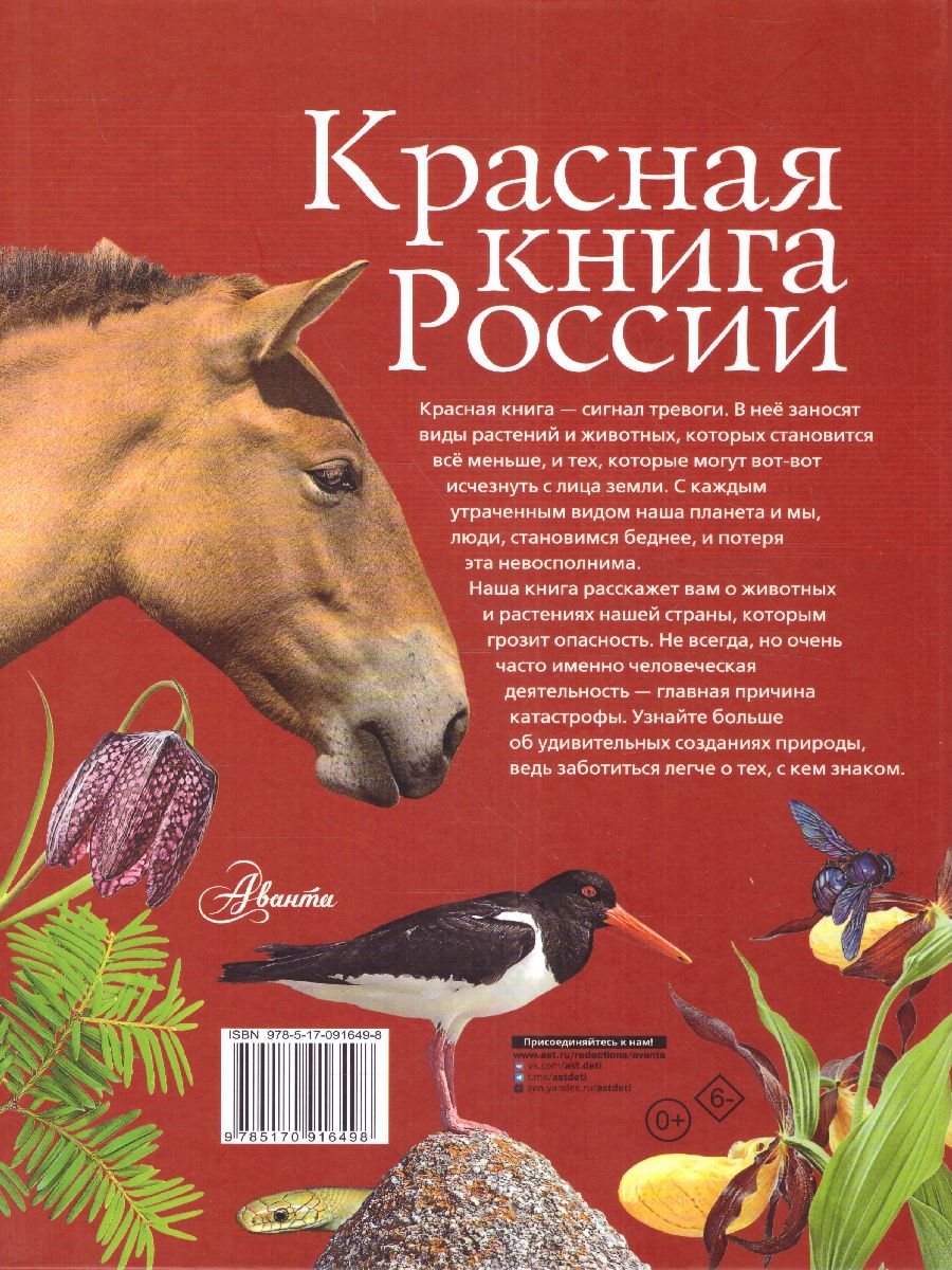 Обложка Красная книга России, издательство АСТ | купить в книжном магазине Рослит