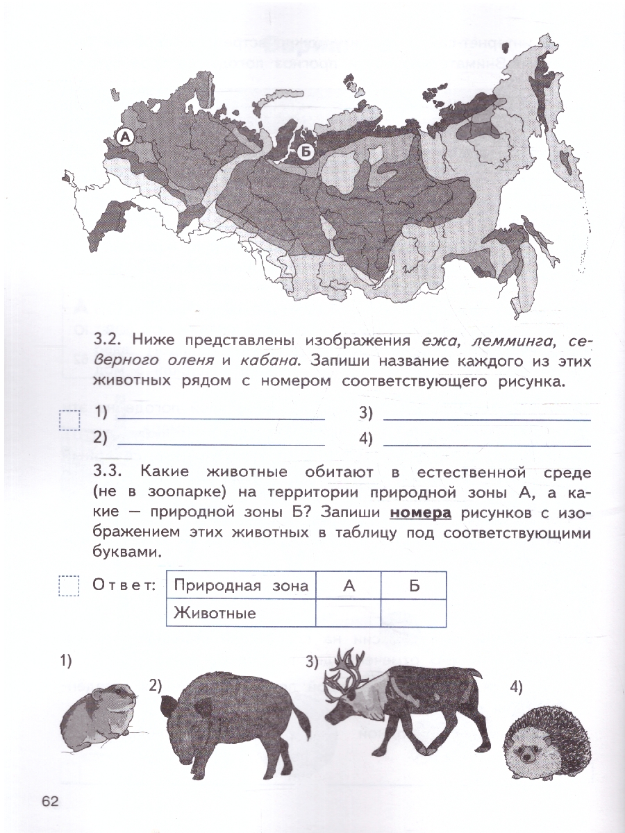 Обложка книги ВПР 4 кл. Окружающий мир. Всероссийская проверочная работа (Вако), Автор Антипина П.В., издательство Вако | купить в книжном магазине Рослит