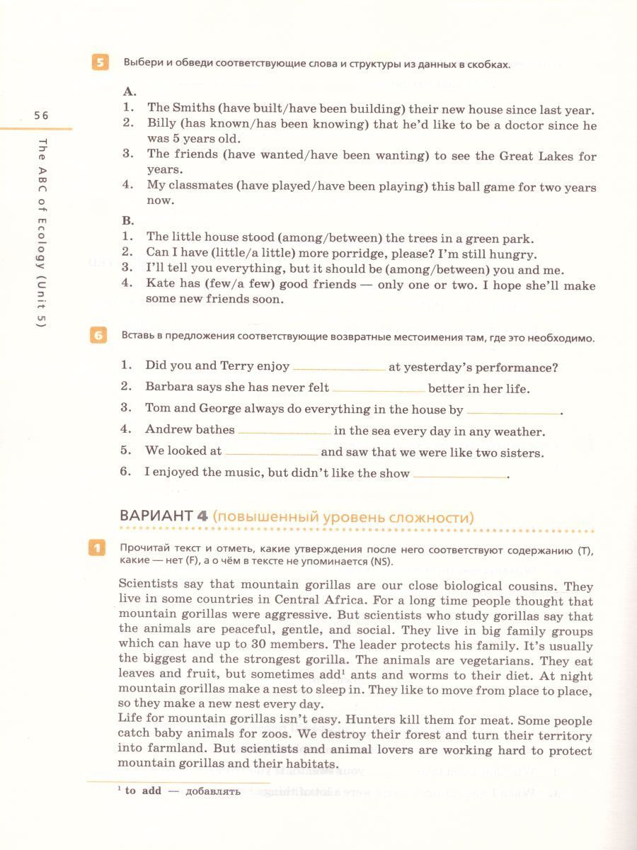 Обложка книги Английский язык "Rainbow English" 7 класс.Контрольные работы. Вертикаль. ФГОС, Автор Афанасьева О.В. Михеева И.В. Баранова К.М., издательство Просвещение/Союз                                   | купить в книжном магазине Рослит