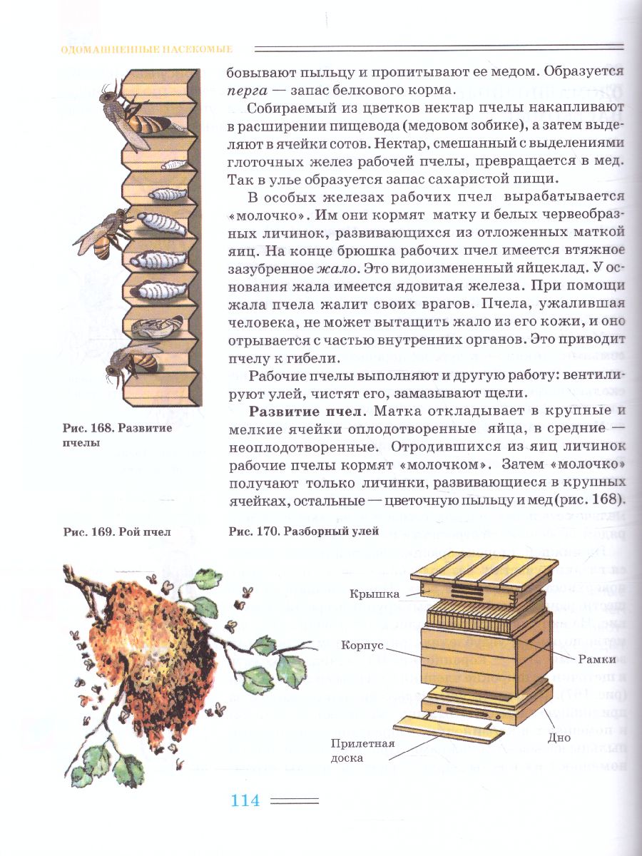 Обложка книги Биология 8 класс. Животные, Автор Никишов А.И. Шарова И.Х., издательство Владос | купить в книжном магазине Рослит
