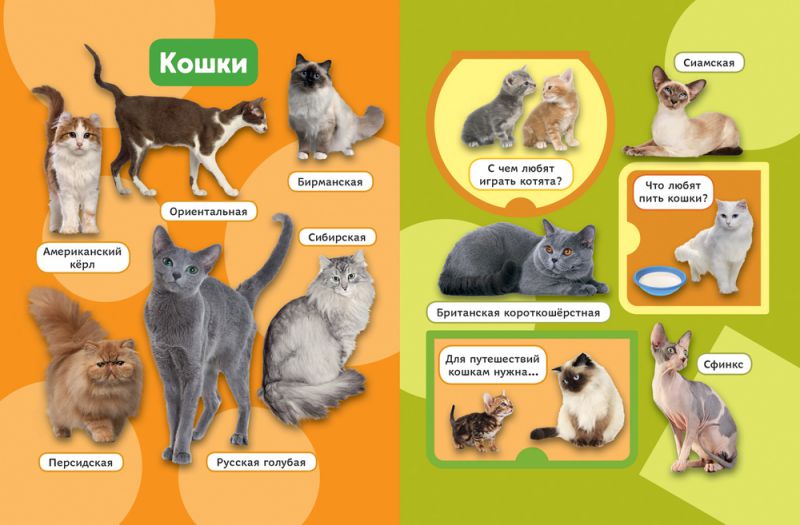 Обложка Цифры и счет. Книжка с многоразовыми наклейками, издательство РОСМЭН | купить в книжном магазине Рослит