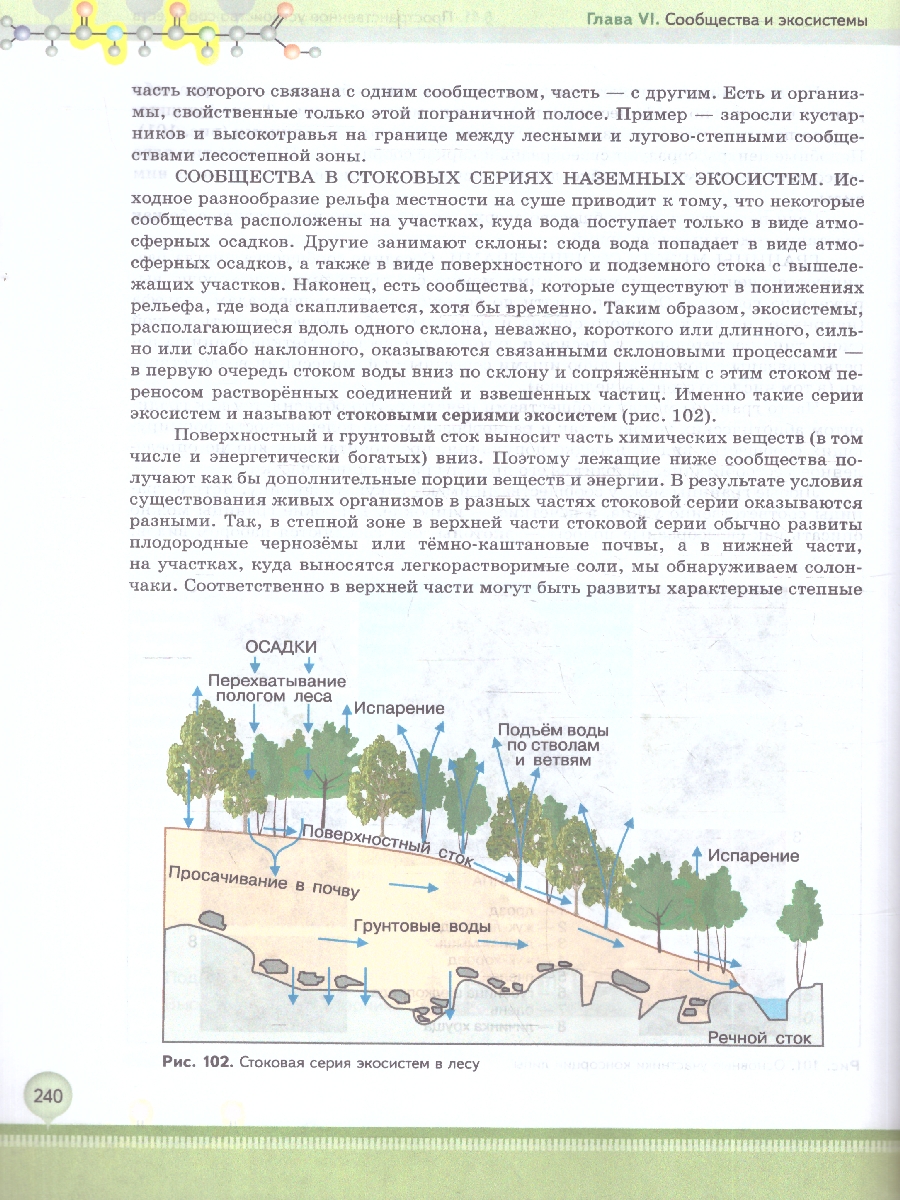 Обложка книги Биология 11 класс. Углубленный уровень. Учебное пособие. ФГОС, Автор Бородин П.М.; Дымшиц Г.М.; Саблина О.В., издательство Просвещение | купить в книжном магазине Рослит