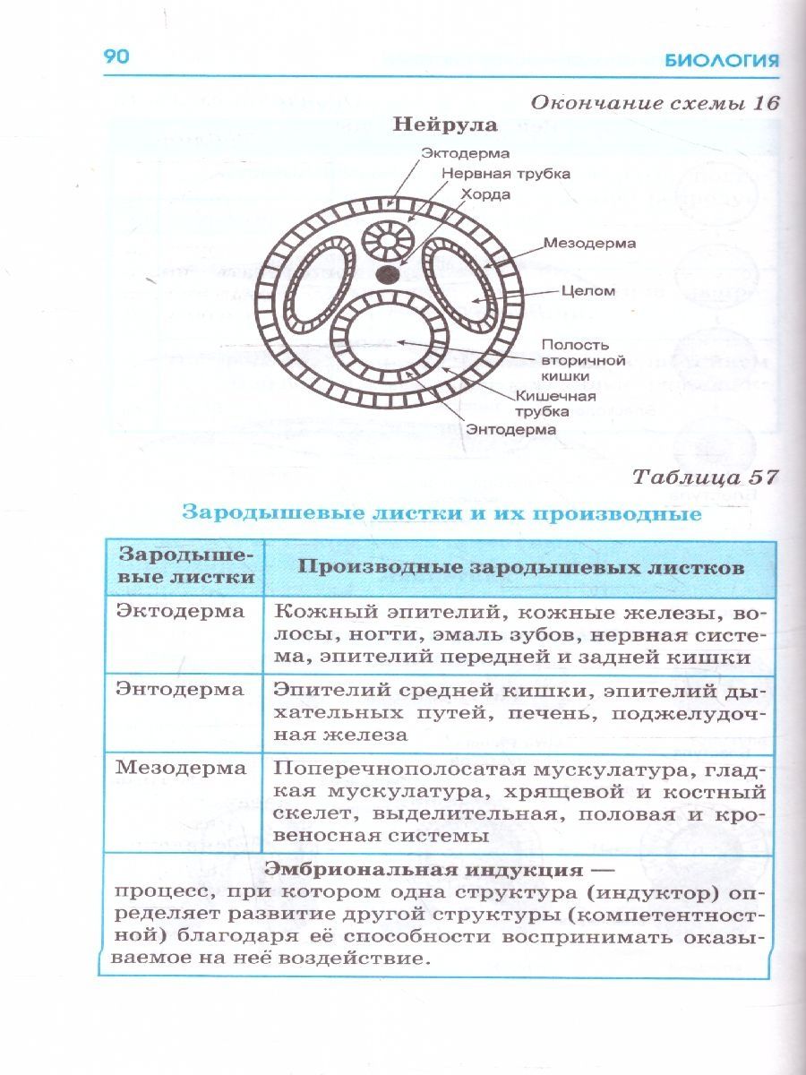 Обложка книги ЕГЭ. Биология. Весь школьный курс в таблицах и схемах для подготовки к ЕГЭ , Автор Маталин А.В., издательство АСТ | купить в книжном магазине Рослит