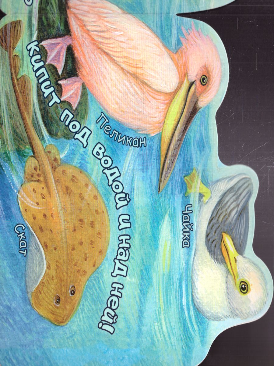 Обложка В море. Павлова К.А./ВеселыеЛесенки (АСТ), издательство АСТ | купить в книжном магазине Рослит