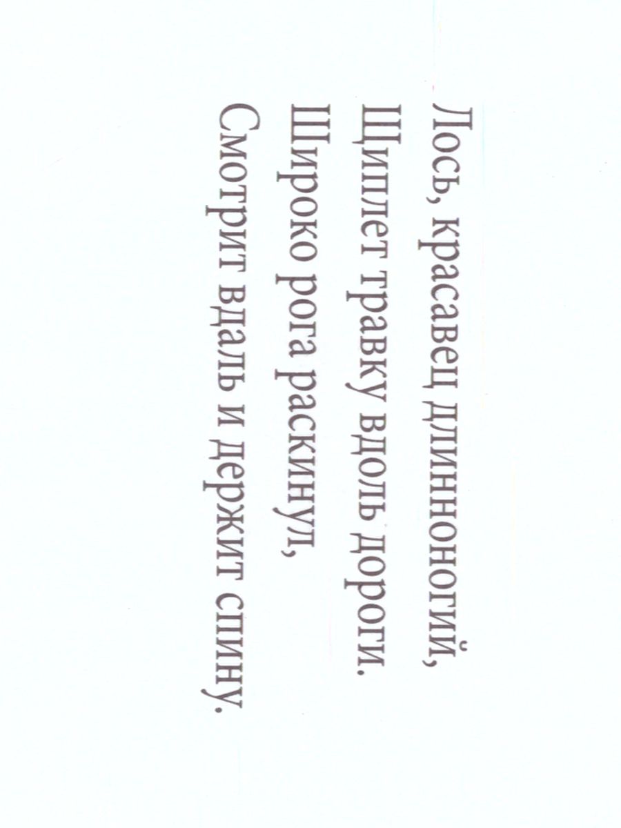 Обложка книги Картотека предметных картинок. Выпуск.4. Животные наших лесов, домашные животные, их детеныши, Автор Нищева Н.В., издательство ДЕТСТВО-ПРЕСС | купить в книжном магазине Рослит
