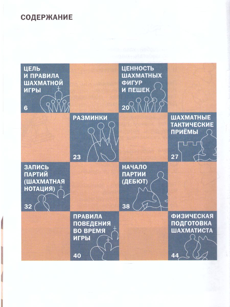 Обложка книги Занимательные шахматы. Книга начинающего игрока/ШШ (Вако), Автор Барский Л.А., издательство Вако | купить в книжном магазине Рослит