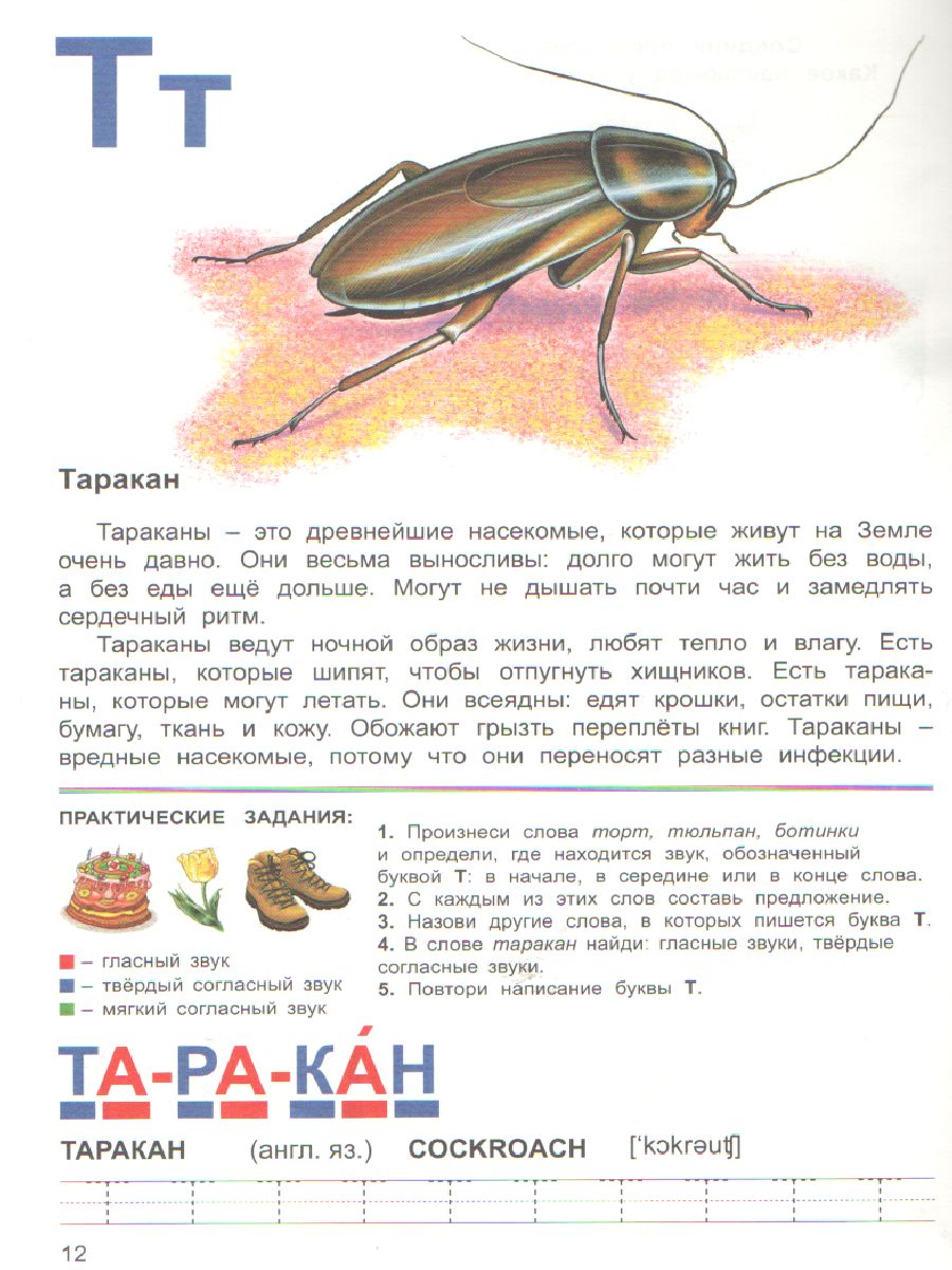 Обложка книги Тетрадь общения и развития детей "Насекомые-2", Автор , издательство Страна фантазий | купить в книжном магазине Рослит