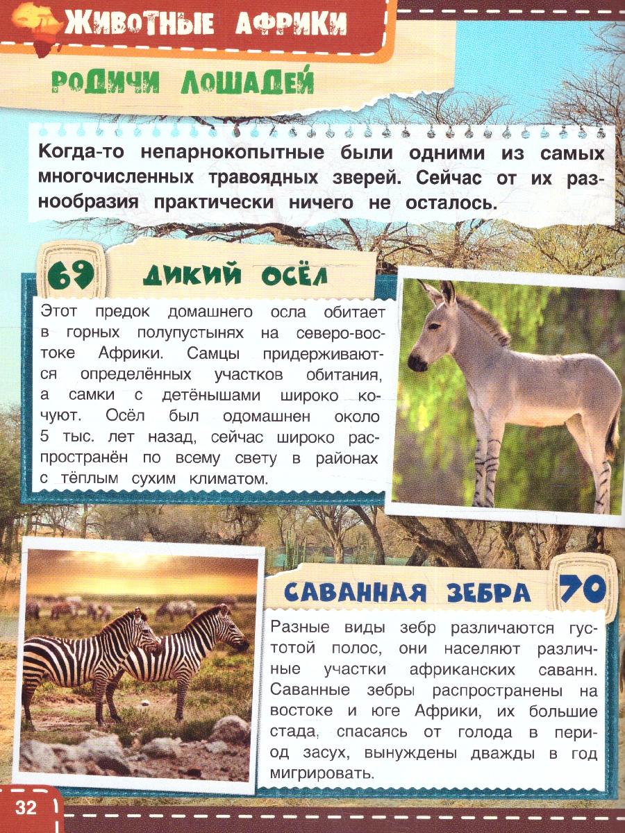 Обложка книги Животные Африки. Энциклопедия с развивающими заданиями, Автор Павлинов И. Я., издательство Умка                                               | купить в книжном магазине Рослит