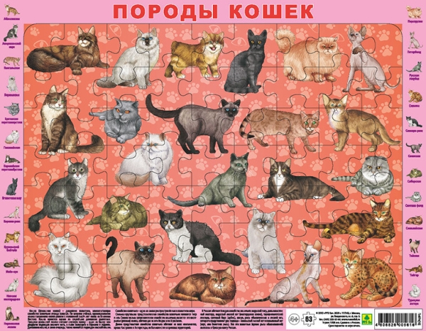 Обложка книги Детский пазл на подложке. Породы кошек. (36х28 см, 63 эл.), Автор , издательство РУЗ Ко | купить в книжном магазине Рослит