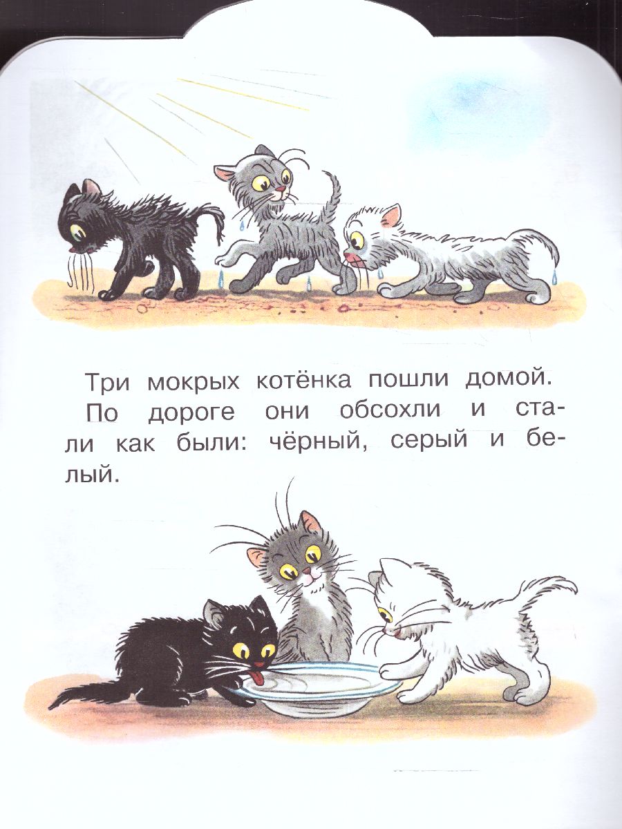 Обложка Три котенкаалыш, читай!, издательство АСТ | купить в книжном магазине Рослит