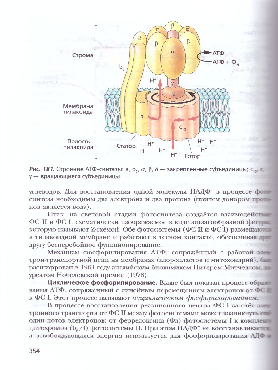 картинка Биология 11 класс. Учебное пособие . Углубленный уровень. от магазина Рослит