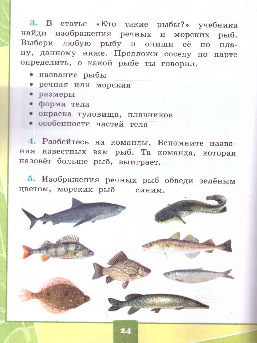 Обложка книги Окружающий мир 1 класс. Тетрадь для практических работ №1 с дневником наблюдений. ФГОС Новый, Автор Тихомирова Е. М., издательство Экзамен | купить в книжном магазине Рослит