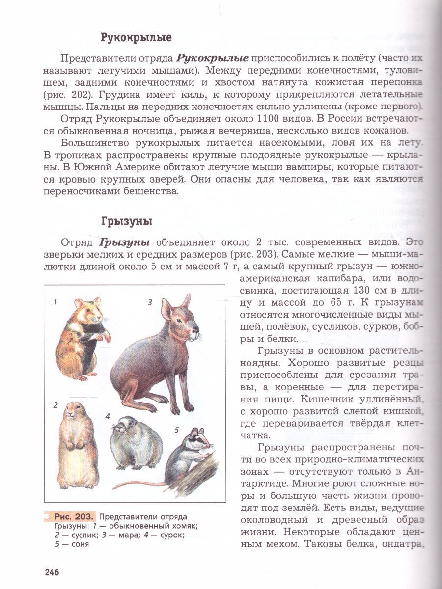Обложка книги Биология 7 класс. Концетрический курс. Учебник. ФГОС, Автор Константинов В.М. Бабенко В.Г. Кучменко В.С., издательство Вентана-Граф | купить в книжном магазине Рослит