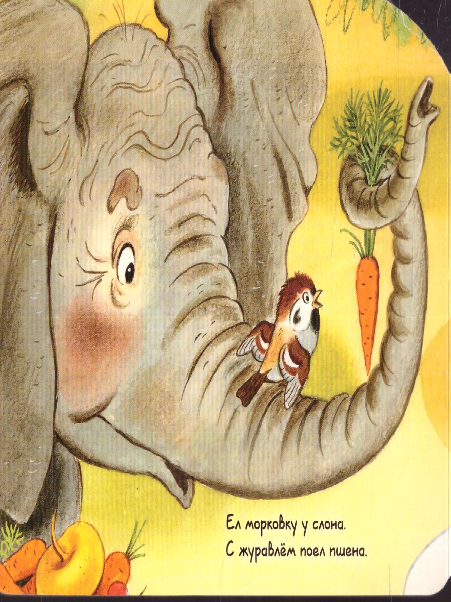 Обложка Где обедал, воробей?, издательство АСТ | купить в книжном магазине Рослит