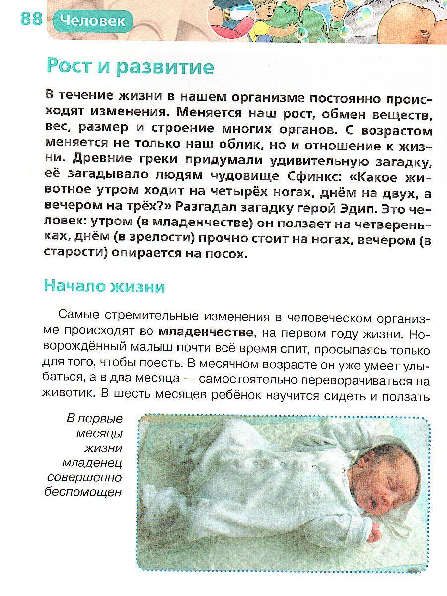 Обложка Человек, издательство РОСМЭН | купить в книжном магазине Рослит