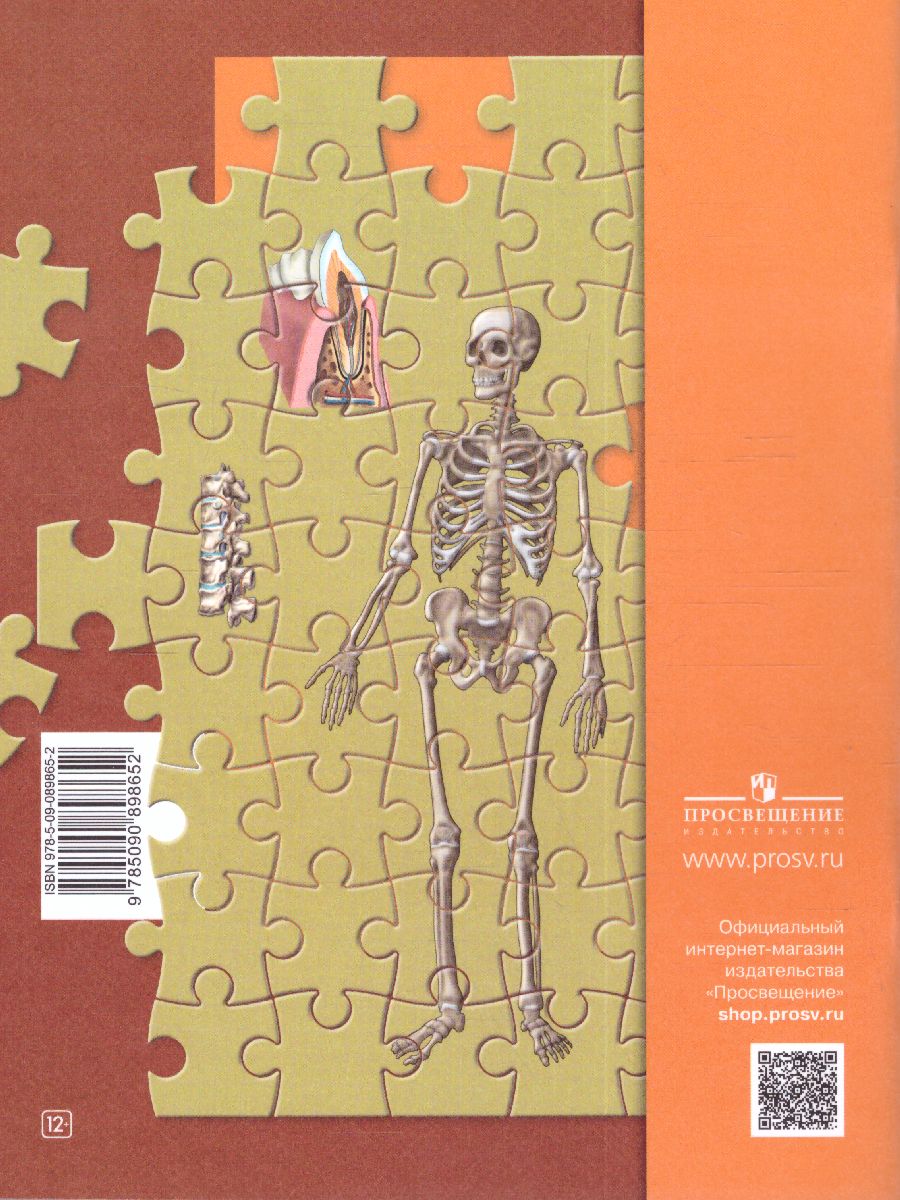 Обложка книги Биология 8класс. Рабочая тетрадь №1. ФГОС, Автор Маш Р.Д. Драгомилов А.Г., издательство Просвещение | купить в книжном магазине Рослит