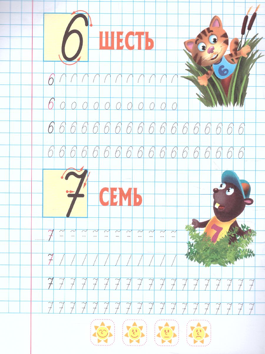 Обложка книги Прописи для дошкольников. Пишем правильно 5-6 лет. Пишем правильно элементы цифр и знаков, Автор Петренко С.В., издательство Интерпрессервис | купить в книжном магазине Рослит