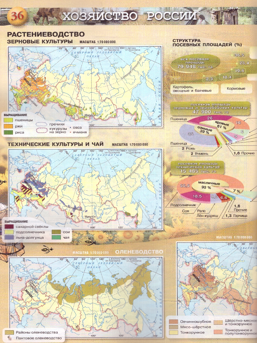Обложка книги География 8-9 класс. Атлас. Природа, население, хозяйство. С новыми регионами РФ, Автор Дронов В.П., издательство Просвещение | купить в книжном магазине Рослит