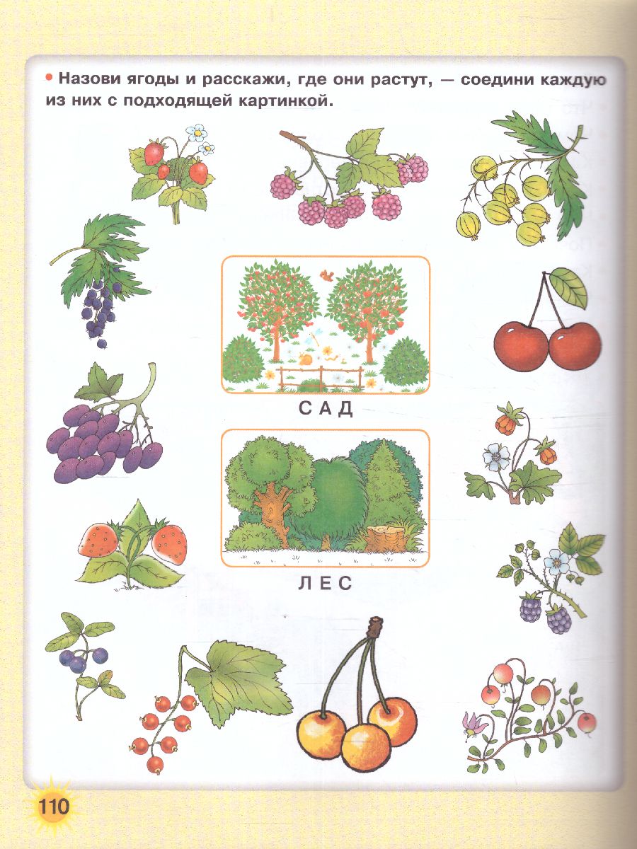 Обложка книги Большая книга по развитию речи. 365 дней до школы, Автор Жукова О.С., издательство АСТ | купить в книжном магазине Рослит