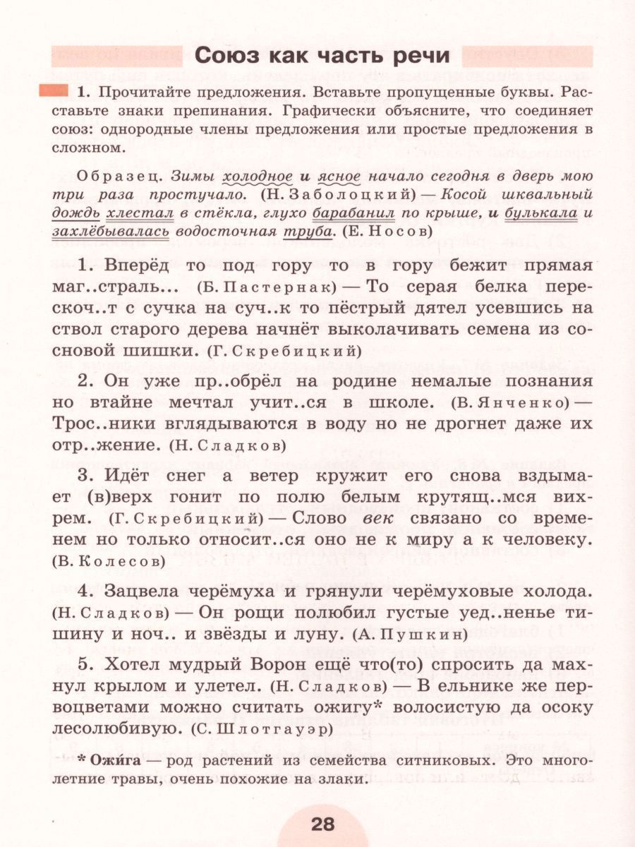 Обложка книги Русский язык 7 класс. Рабочая тетрадь. Часть 2. ФГОС, Автор Рыбченкова Л.М. Роговик Т.Н., издательство Просвещение | купить в книжном магазине Рослит