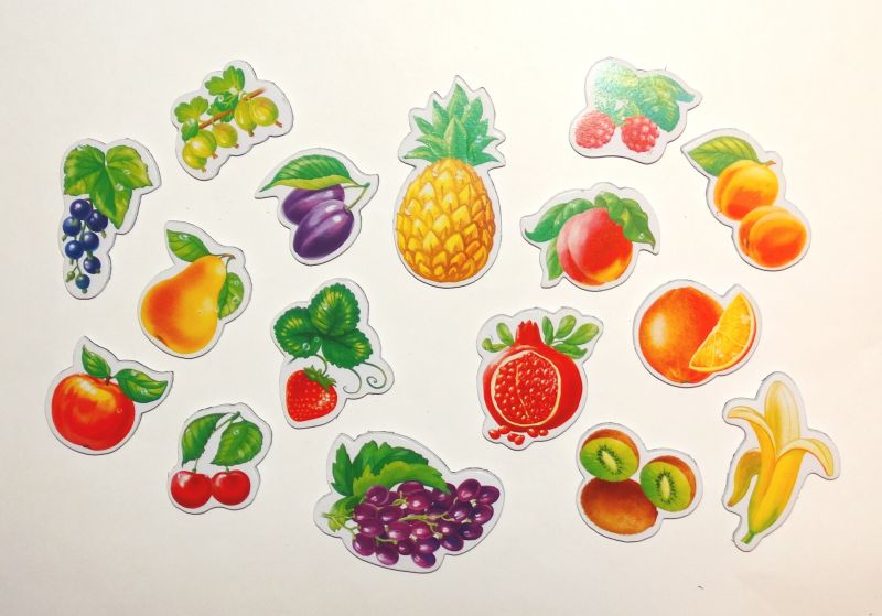 Обложка Игра на магнитах «Сад», издательство Я РАСТУ ТОЙЗ | купить в книжном магазине Рослит