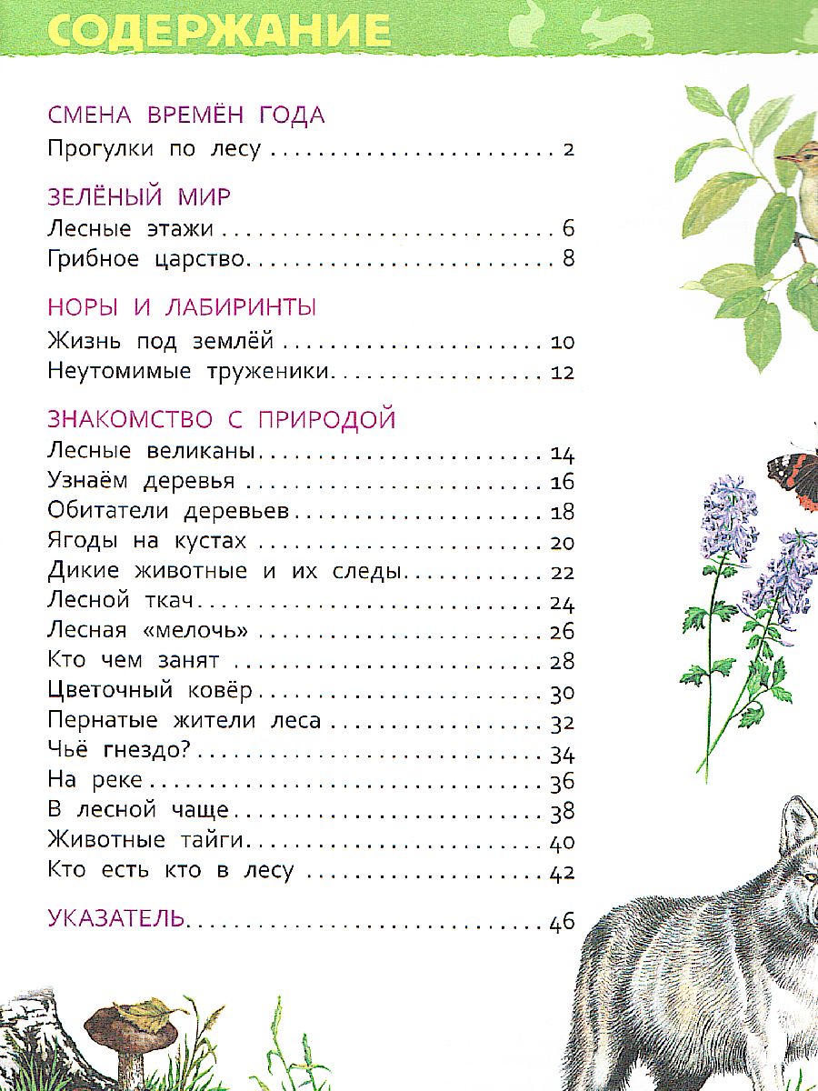 Обложка В лесу, издательство РОСМЭН | купить в книжном магазине Рослит