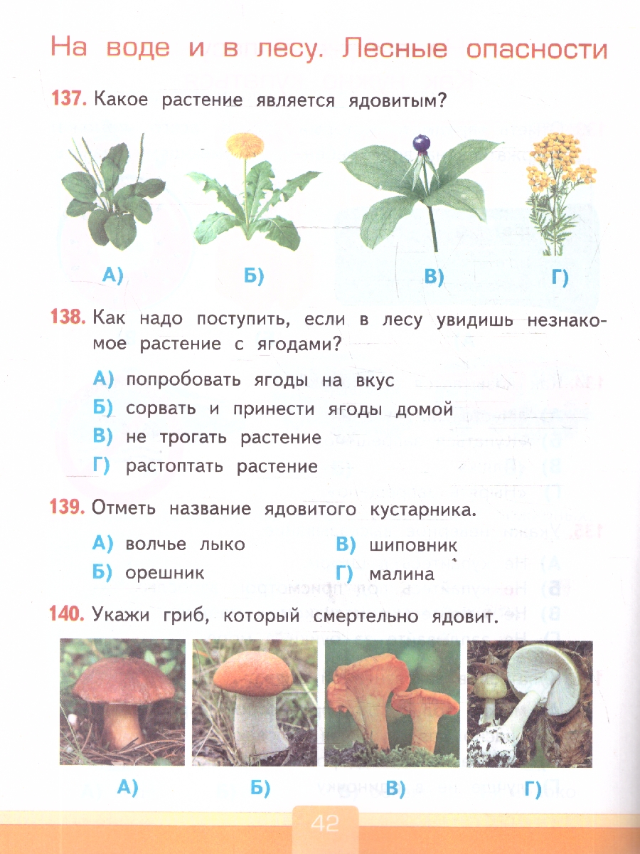 Обложка книги Окружающий мир 2 класс. Тесты. К учебнику А. А. Плешакова. ФГОС Новый, Автор Тихомирова Е. М., издательство Экзамен | купить в книжном магазине Рослит