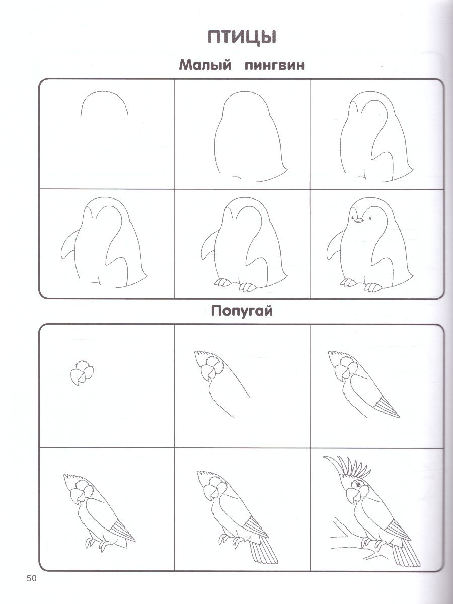 Обложка Экспресс-курс по рисованию. Самоучитель Для Детей, издательство АСТ | купить в книжном магазине Рослит