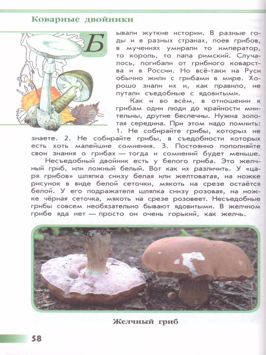 Обложка книги Зеленые страницы. Книга для учащихся начальных классов. ФГОС. УМК "Школа России", Автор Плешаков А.А., издательство Просвещение | купить в книжном магазине Рослит