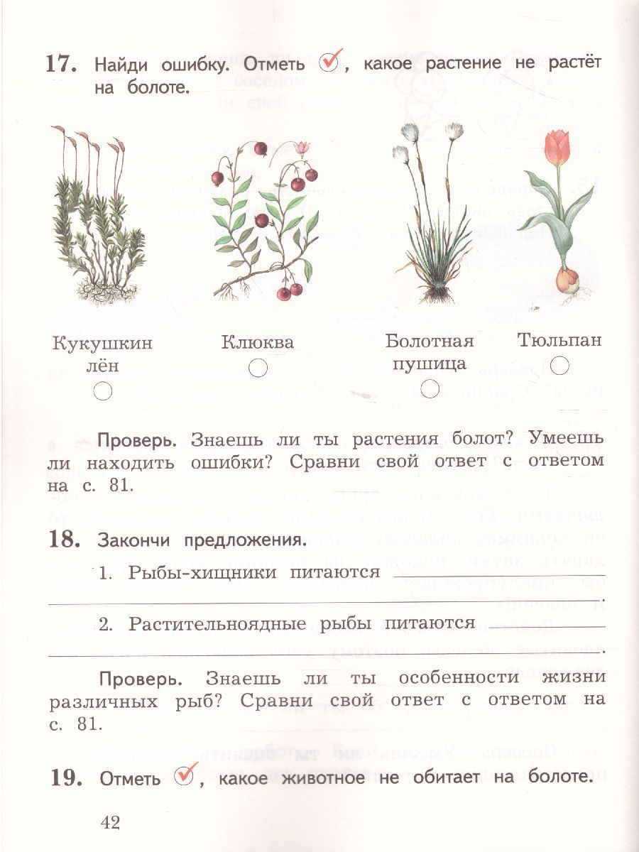 Обложка книги Окружающий мир 2 класс. Тетрадь для проверочных работ № 2. ФГОС, Автор Виноградова Н.Ф., издательство Вентана-Граф | купить в книжном магазине Рослит