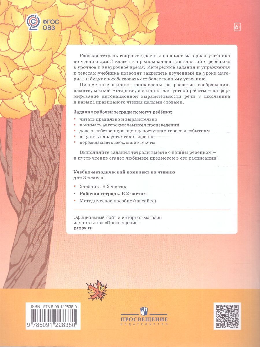Обложка книги Чтение 3 класс. Рабочая тетрадь.Комплект в 2 частях.ФГОС ОВЗ, Автор Головкина Т.М., издательство Просвещение | купить в книжном магазине Рослит