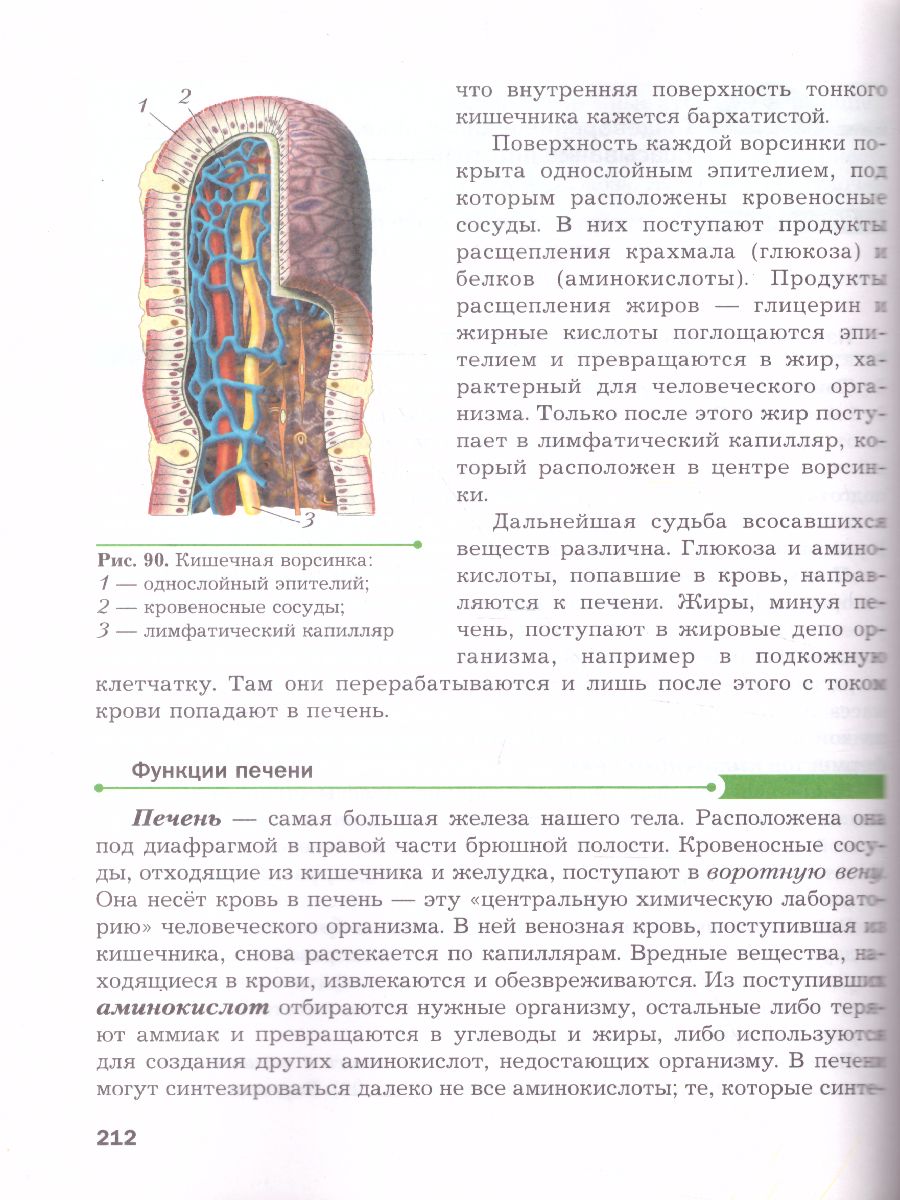 Обложка книги Биология 9 класс. Учебник. ФГОС, Автор Драгомилов А.Г. Маш Р.Д., издательство Просвещение | купить в книжном магазине Рослит