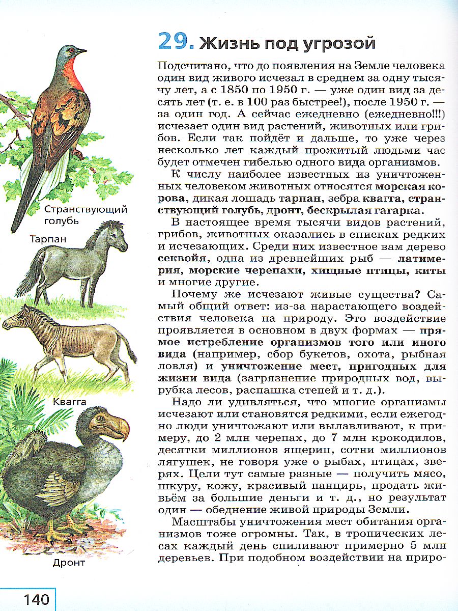 Обложка книги Биология 5 класс. Введение в биологию. Учебник. Вертикаль. ФГОС, Автор Плешаков А.А. Сонин Н.И., издательство Просвещение/Союз                                   | купить в книжном магазине Рослит