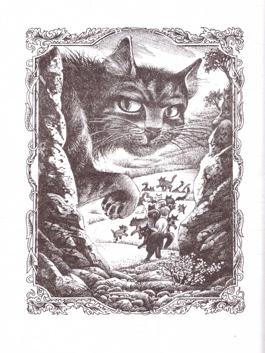 Обложка Коты-воители. Цикл "Путешествия Орлокрылого". Скитания, издательство Просвещение/Союз                                   | купить в книжном магазине Рослит