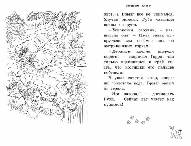 Обложка Прятки в джунглях / Чудо-щенок. Бр-рызг, издательство Махаон | купить в книжном магазине Рослит