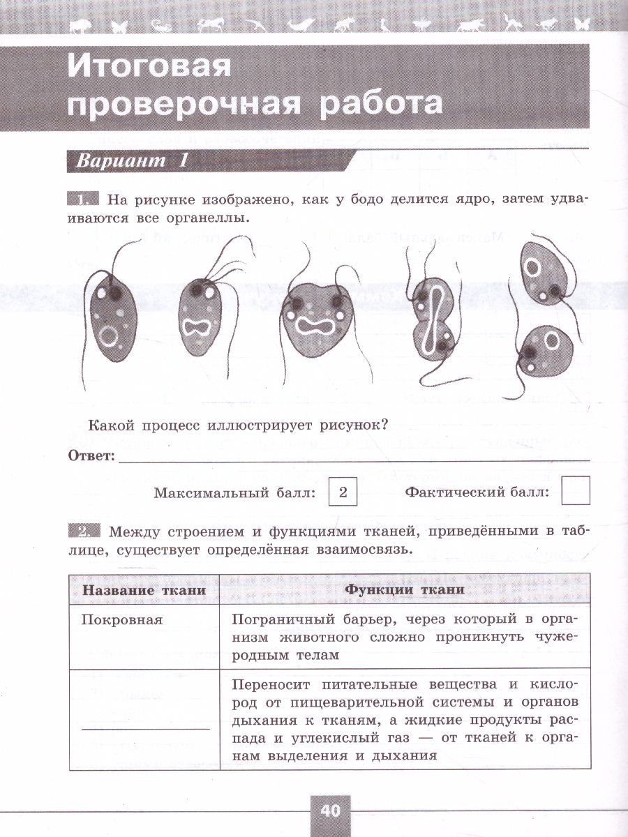 Обложка книги Биология 7 класс. Проверочные работы в формате ВПР., Автор Суматохин С.В. Калинова Г.С., издательство Просвещение/Союз                                   | купить в книжном магазине Рослит