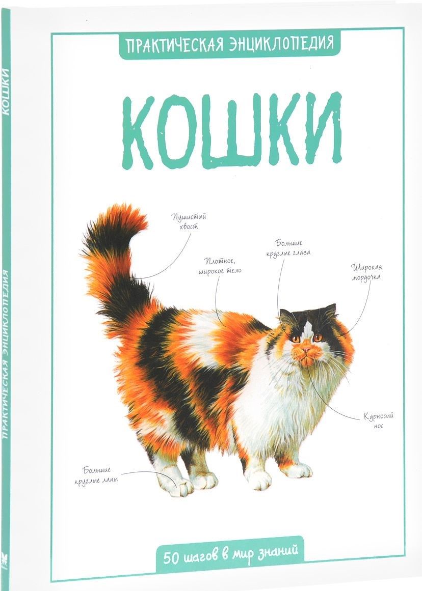 Обложка Кошки. Практическая энциклопедия. 50 шагов в мир знаний, издательство Махаон | купить в книжном магазине Рослит
