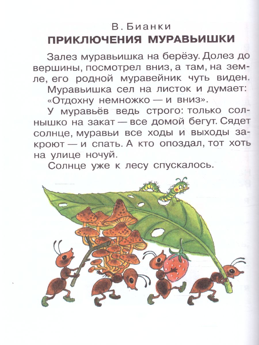 Обложка книги Большая хрестоматия для 1-4 классов, Автор Горький М. Толстой Л.Н. Крылов И.А. Толстой А.Н., издательство АСТ | купить в книжном магазине Рослит