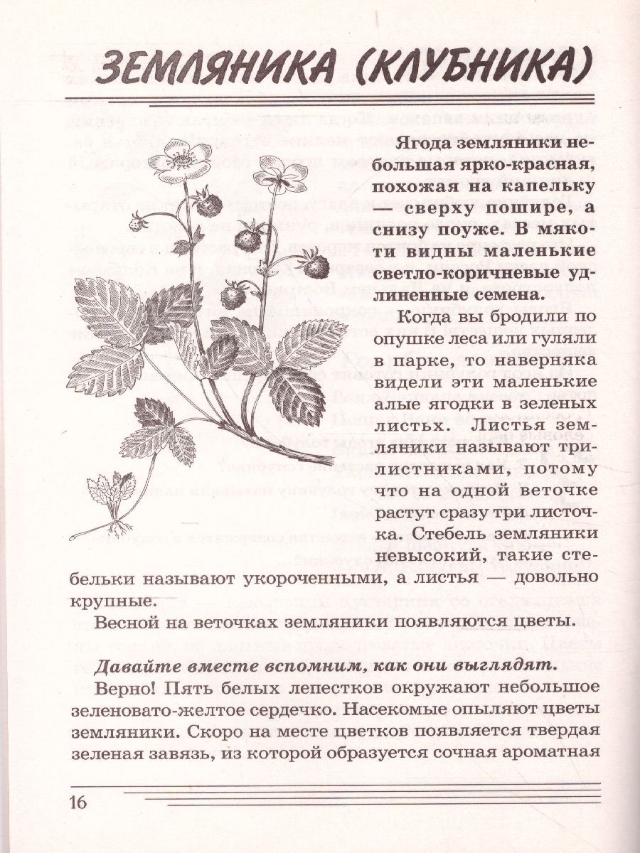 Обложка книги Ягоды. Какие они? Знакомство с окружающим миром, развитие речи, Автор Шорыгина Т.А., издательство ГНОМ | купить в книжном магазине Рослит