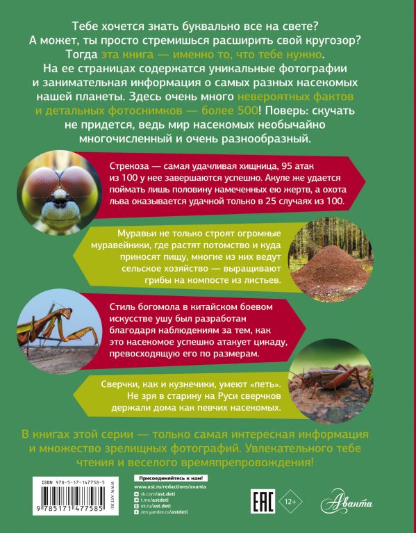 Обложка Большая энциклопедия о насекомых. 500 фотографий и фактов, издательство АСТ | купить в книжном магазине Рослит
