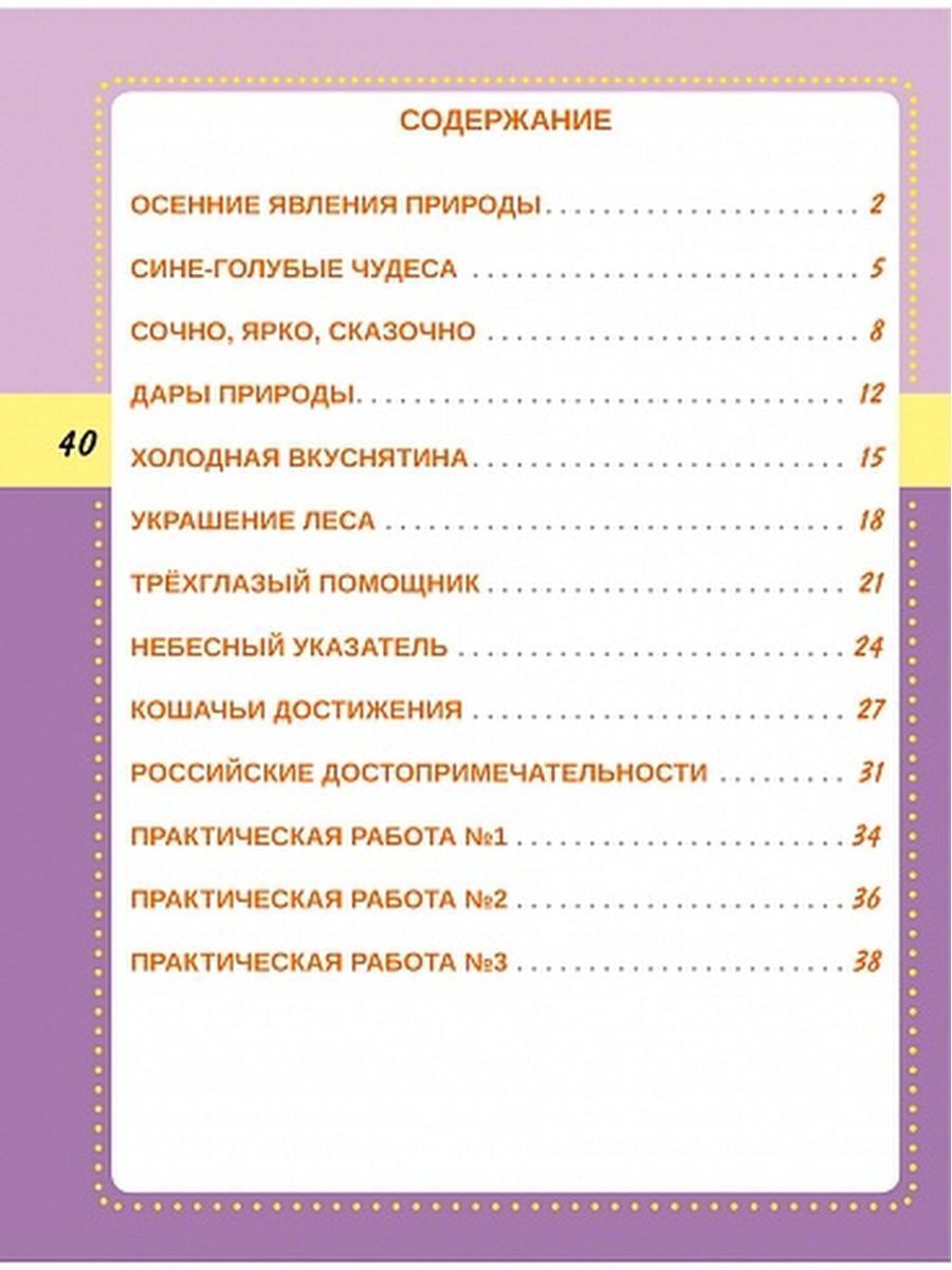 Обложка книги Смысловое чтение 2 класс. Тренажёр для школьников, Автор Шейкина С.А., издательство Планета | купить в книжном магазине Рослит