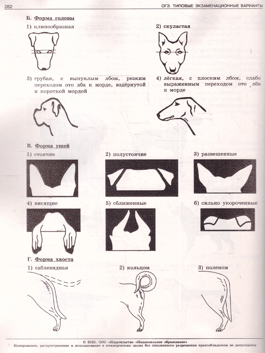 Обложка книги ОГЭ 2025 Биология. 30 вариантов, Автор Рохлов В. С., издательство Национальное образование | купить в книжном магазине Рослит