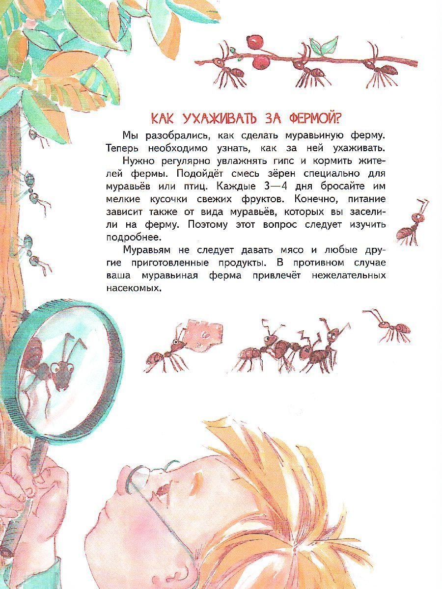 Обложка книги Как это устроено. Чемодан историй, Автор Цезарь Е.А., издательство Вакоша | купить в книжном магазине Рослит