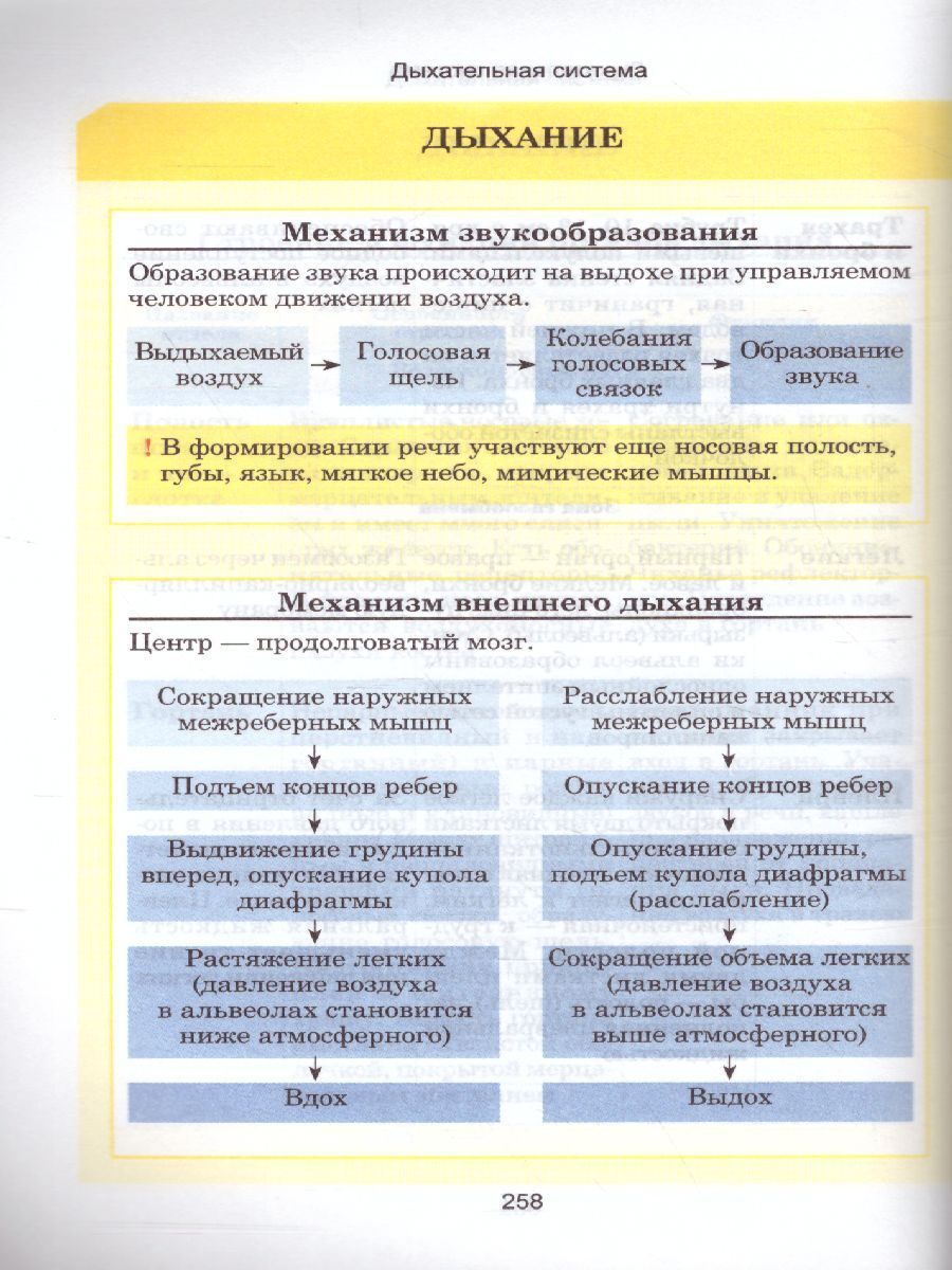 Обложка книги Биология. Весь школьный курс в таблицах, Автор Ёлкина Л.В., издательство Кузьма                                             | купить в книжном магазине Рослит