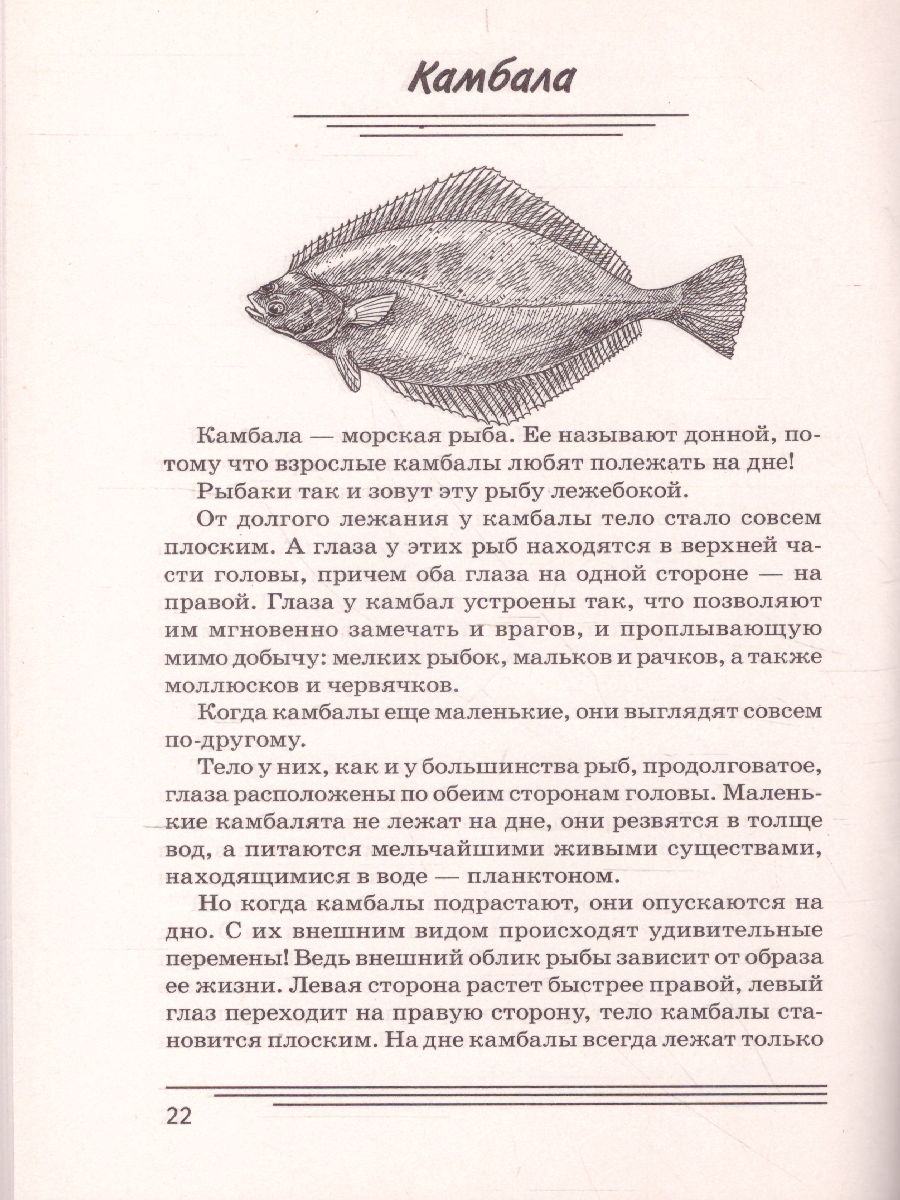 Обложка книги Рыбы. Какие они? Знакомство с окружающим миром. Развитие речи, Автор Шорыгина Т.А., издательство ГНОМ | купить в книжном магазине Рослит