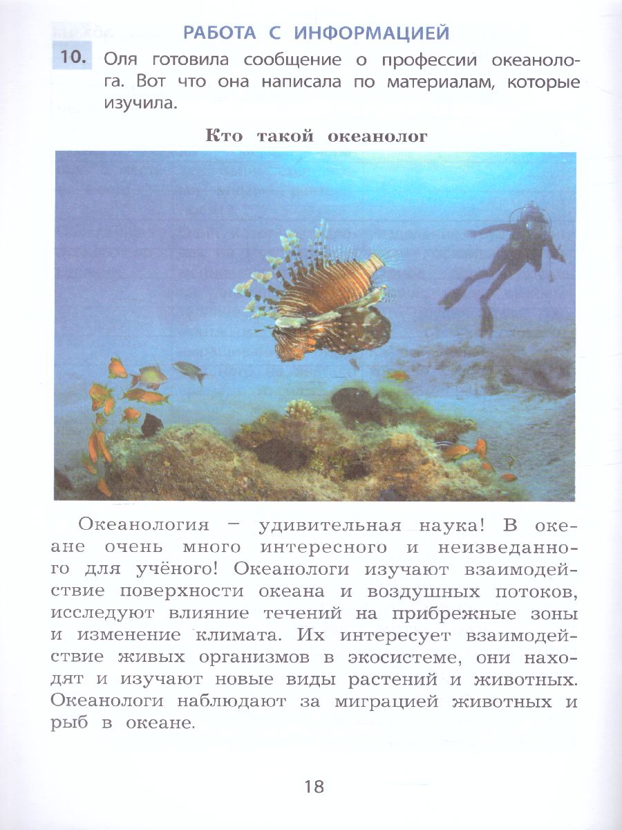 Обложка книги Формирование функционального чтения 4класс. Рабочая тетрадь, Автор Клементьева О.П. и др., издательство Издательство Интеллект-центр | купить в книжном магазине Рослит