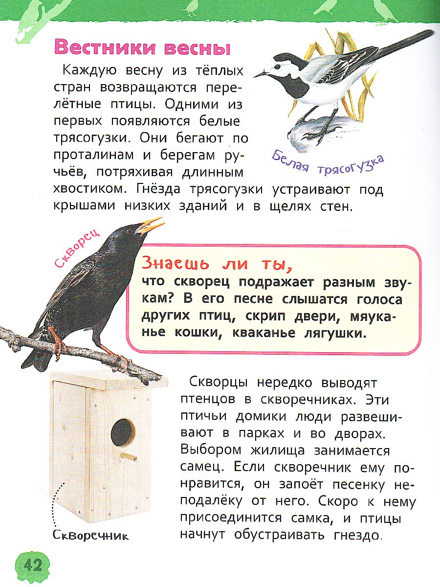 Обложка Животные России. Энциклопедия для детского сада, издательство РОСМЭН | купить в книжном магазине Рослит