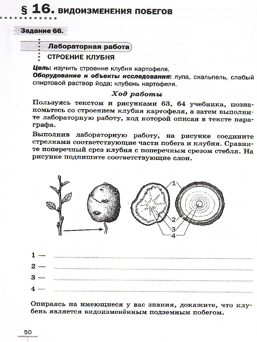 Обложка книги Биология 6 класс. Линейный курс. Рабочая тетрадь, Автор Пасечник В.В., издательство Просвещение/Союз                                   | купить в книжном магазине Рослит