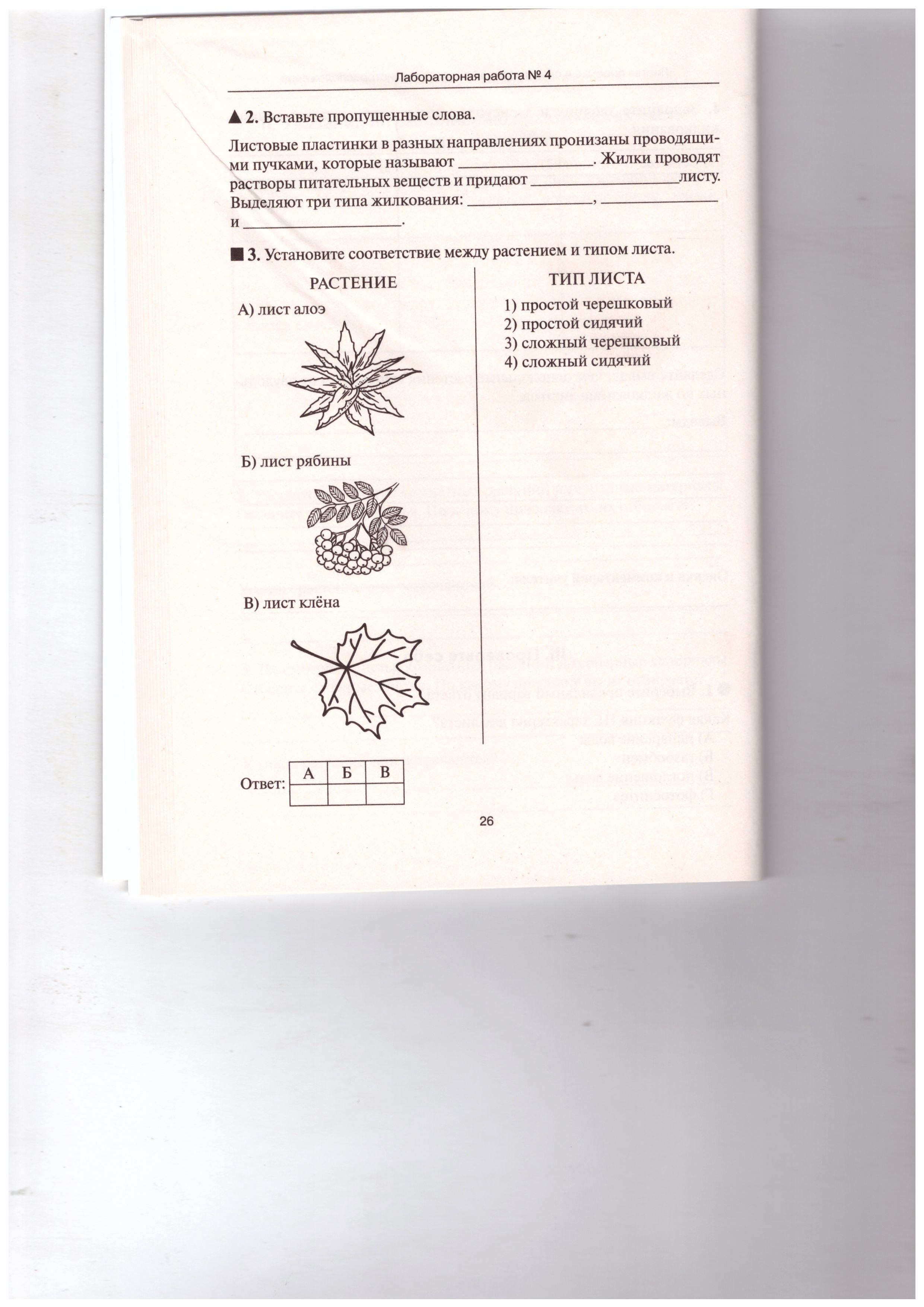 Обложка книги Биология. Лабораторный практикум. Раздел Ботаника. Часть 2, Автор Маскаева Е.М. Шмарковская И.Л., издательство ЛЕГИОН | купить в книжном магазине Рослит